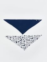 Printed Baby Boys' Bib 2 Pack