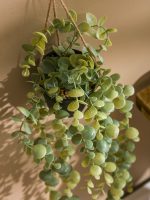 Decorative Artificial Flower 60 cm - Image 2