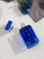 Wild EDP Men's Perfume 100ml - Image 3