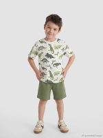 Dinosaur Print Boys' T-Shirt and Shorts
