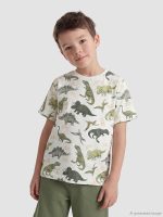 Dinosaur Print Boys' T-Shirt and Shorts - Image 2