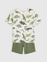 Dinosaur Print Boys' T-Shirt and Shorts - Image 3