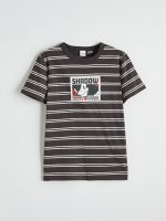 Striped Sonic Printed Boys' T-Shirt