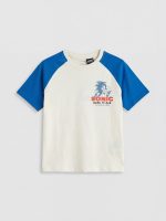 Sonic Printed Boys' T-Shirt and Shorts - Image 5