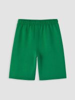 Printed Boys' Shorts 2 Pack - Image 4