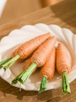 Decorative Carrot Ornament Set of 6 - Image 3